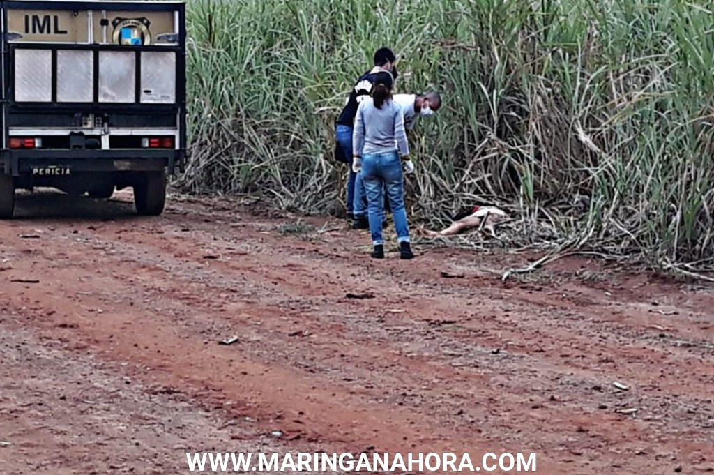 foto de Travesti é encontrada morta em canavial de Mandaguaçu, diz polícia