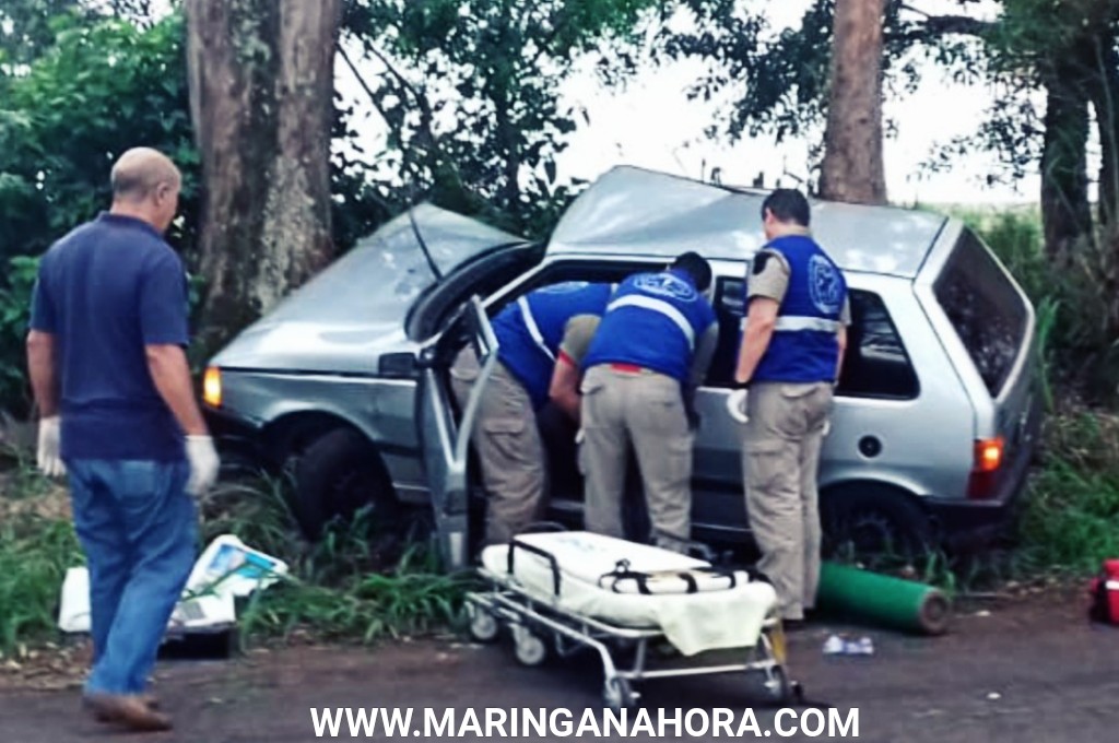 foto de Motorista é socorrido inconsciente após bater em árvore na rodovia entre Santa Fé e Guaraci