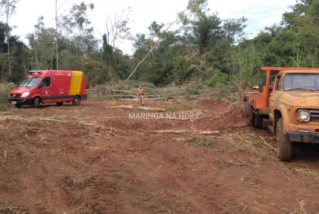 foto de Trabalhador morre após ser atingido por galho de árvore na cabeça em Mandaguaçu