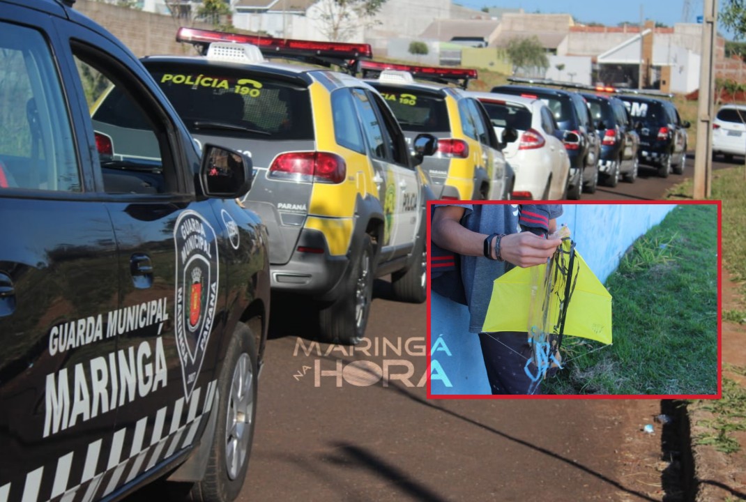 foto de Força tarefa realiza operação de combate ao cerol e à linha chilena em Maringá