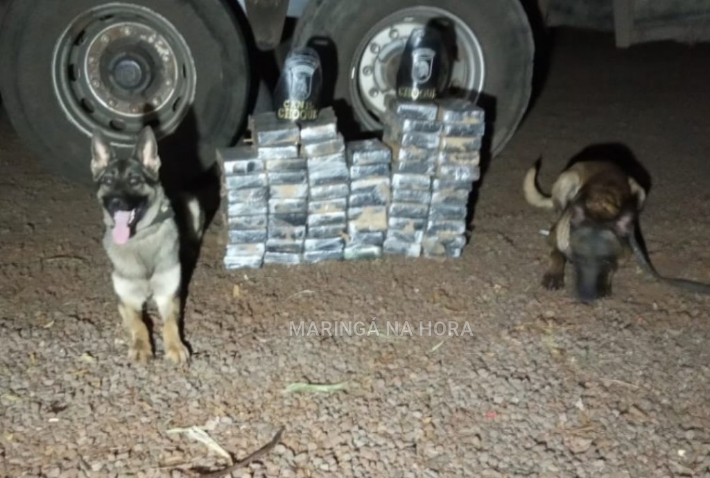 foto de PM apreende grande quantidade de cocaína na PR-323 entre as cidades de Paiçandu e Dr.Camargo