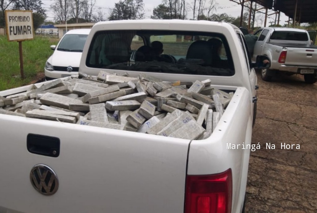 foto de Denarc apreende grande quantidade de maconha em Maringá 