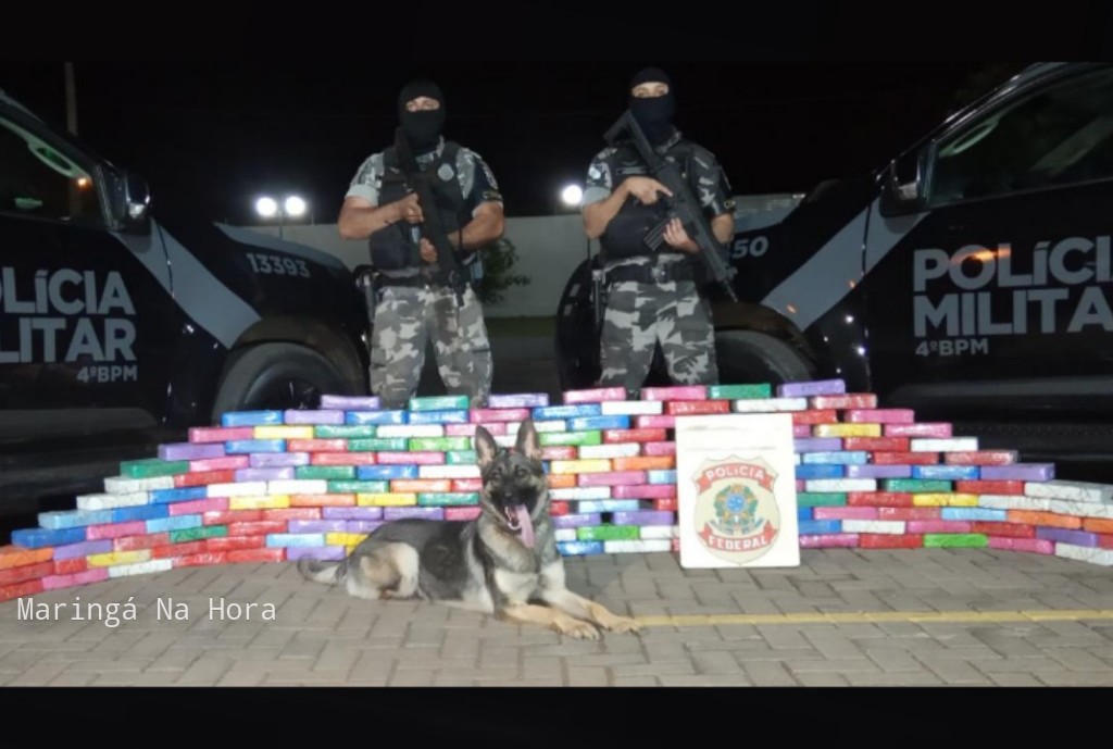 foto de Choque Canil do 04°BPM apreende quase 200 quilos de crack em Maringá