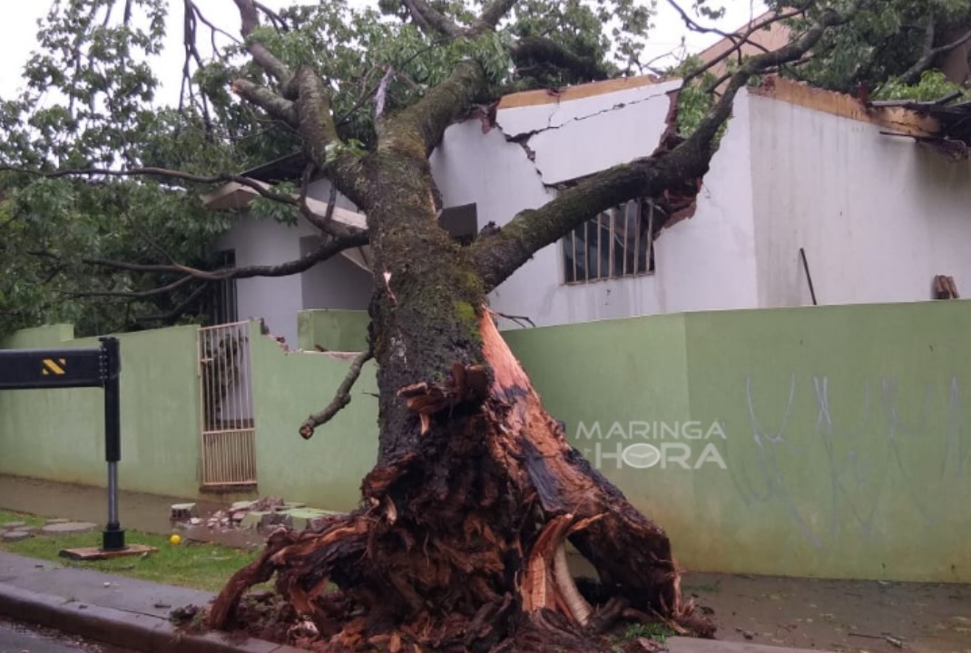 foto de Temporal causou transtornos e prejuízos na tarde de hoje em diversos pontos de Maringá