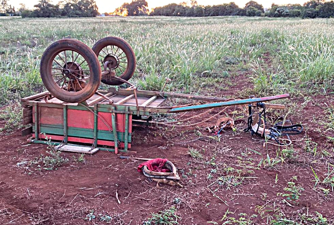 foto de Carroça tomba e homem fica ferido em Sarandi