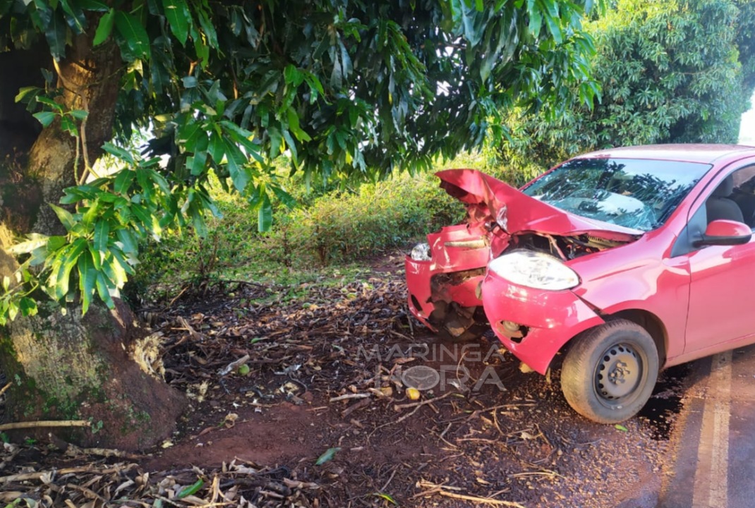 foto de Acidente grave entre Mandaguaçu e Pulinópolis deixa duas pessoas feridas 