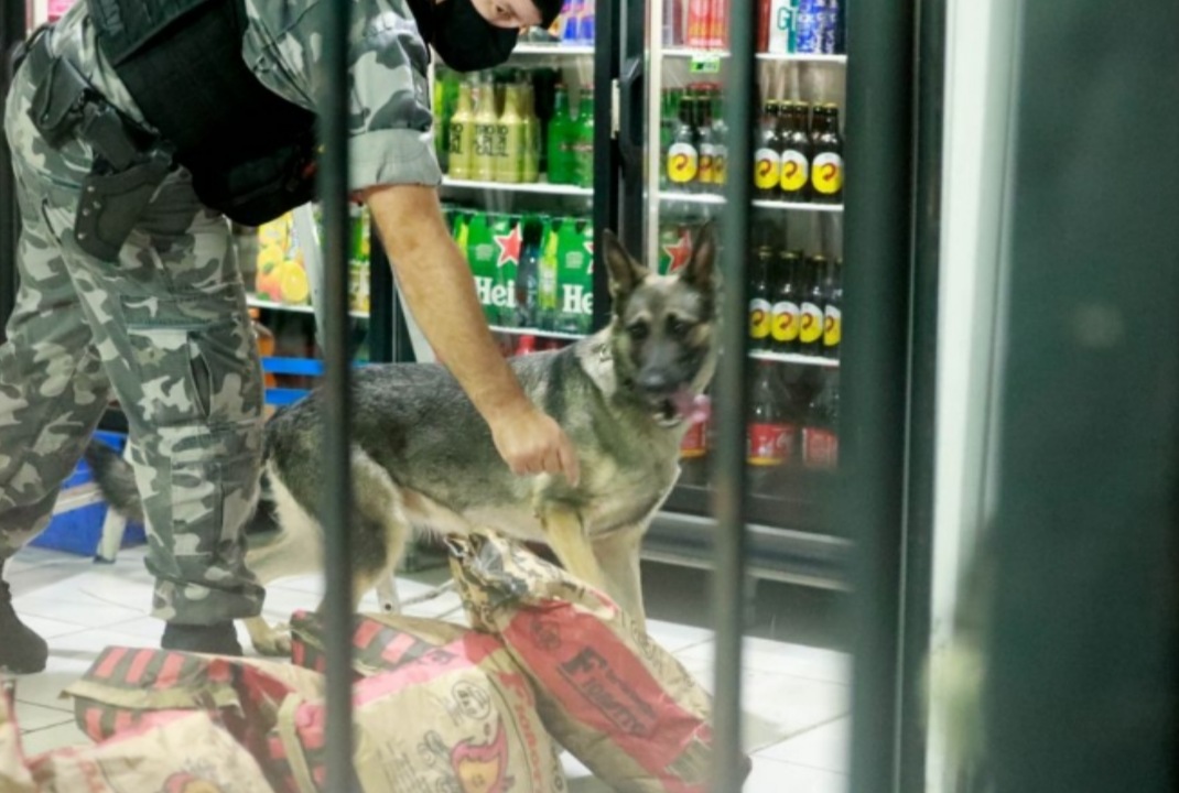 foto de GGI realiza 88 vistorias e cinco atuações no final de semana; 36 pessoas foram multadas