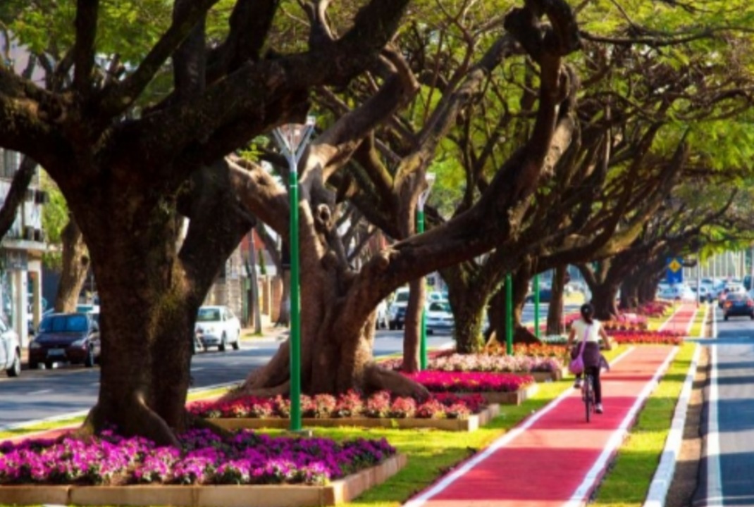 foto de Confira o que abre e fecha em Maringá neste sábado e domingo