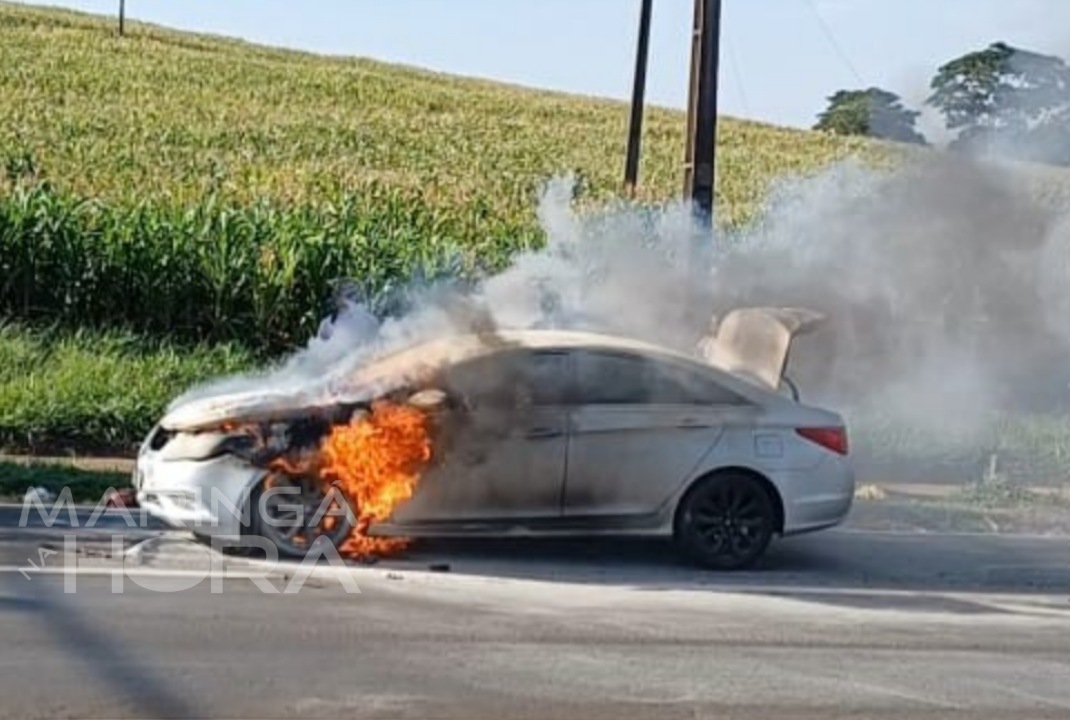 foto de Carro pega fogo na rodovia BR-376, no Jardim São Domingos