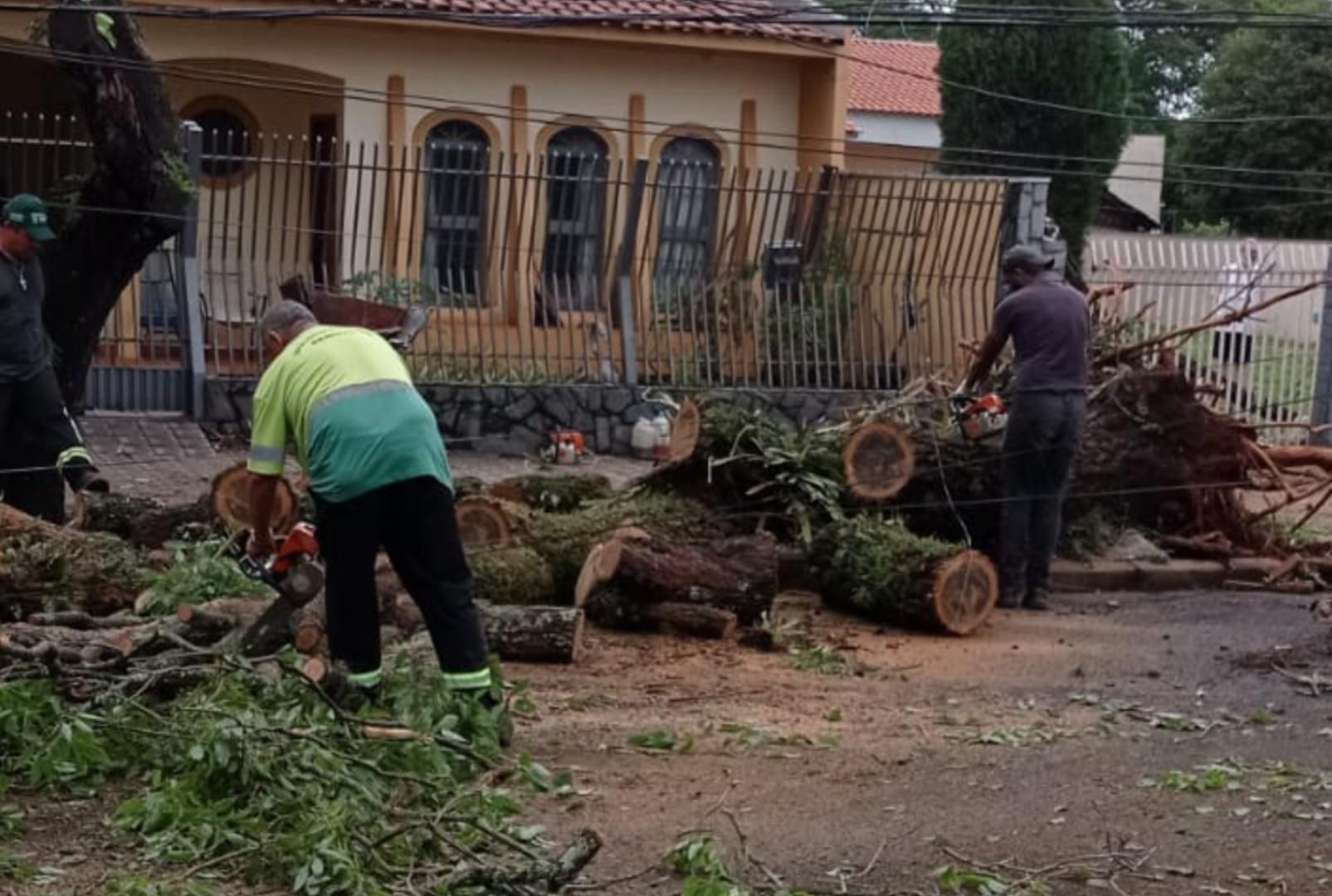 foto de Mais de 500 chamados: Prefeitura trabalha para restabelecer a normalidade em Maringá