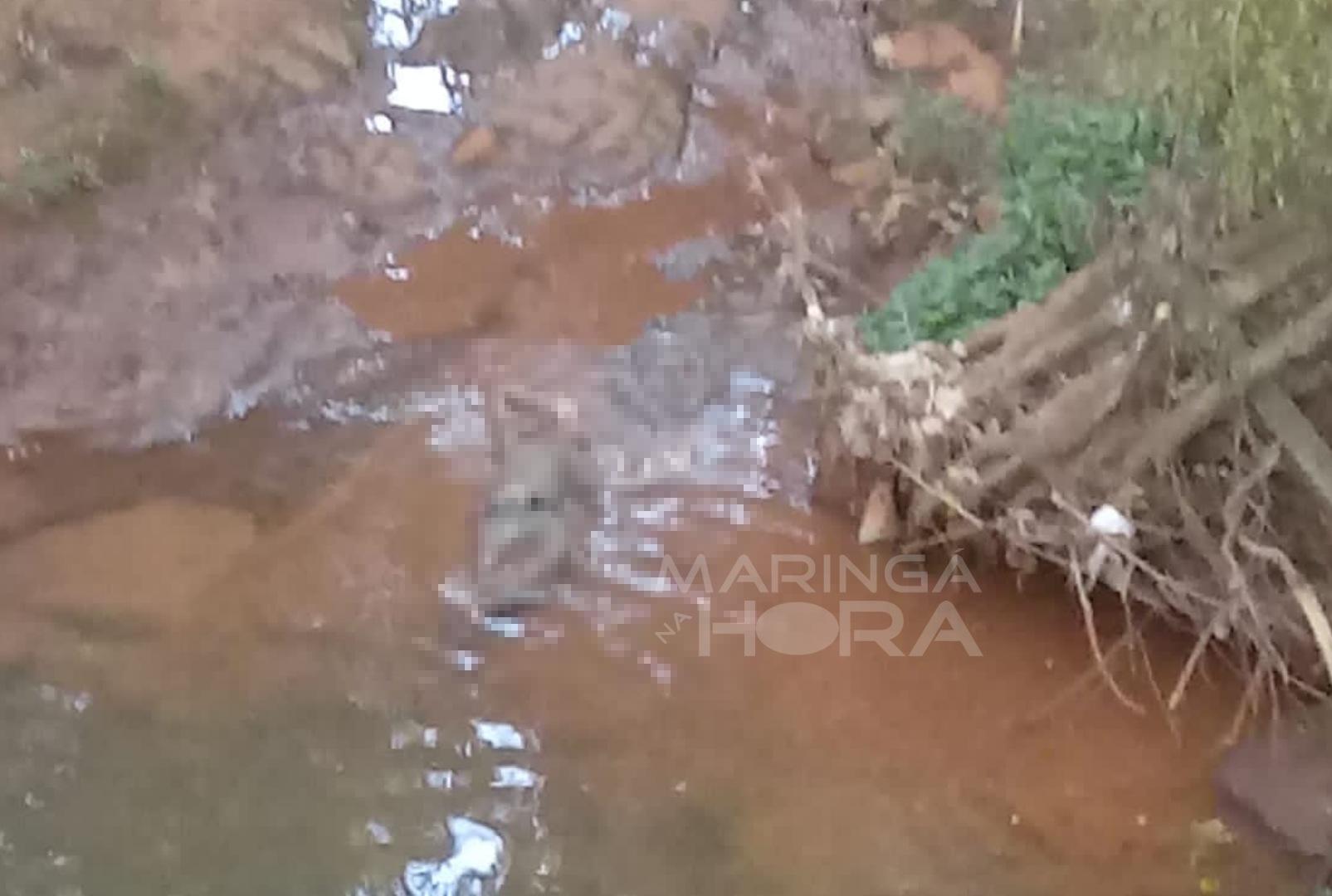 foto de Vídeo mostra exato momento que corpo é encontrado em fundo de vale em Maringá