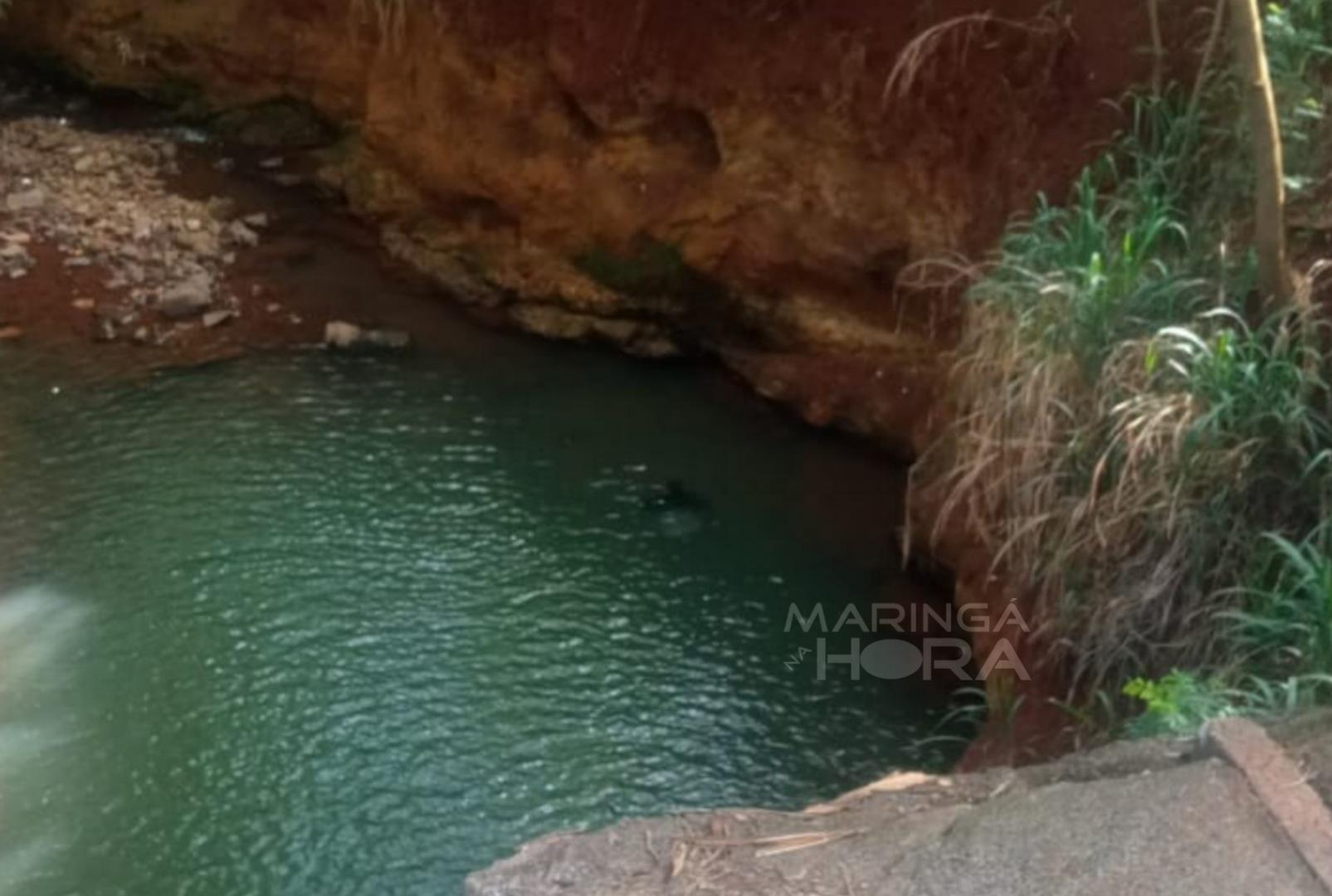 foto de Cadáver é encontrado dentro de córrego em Maringá