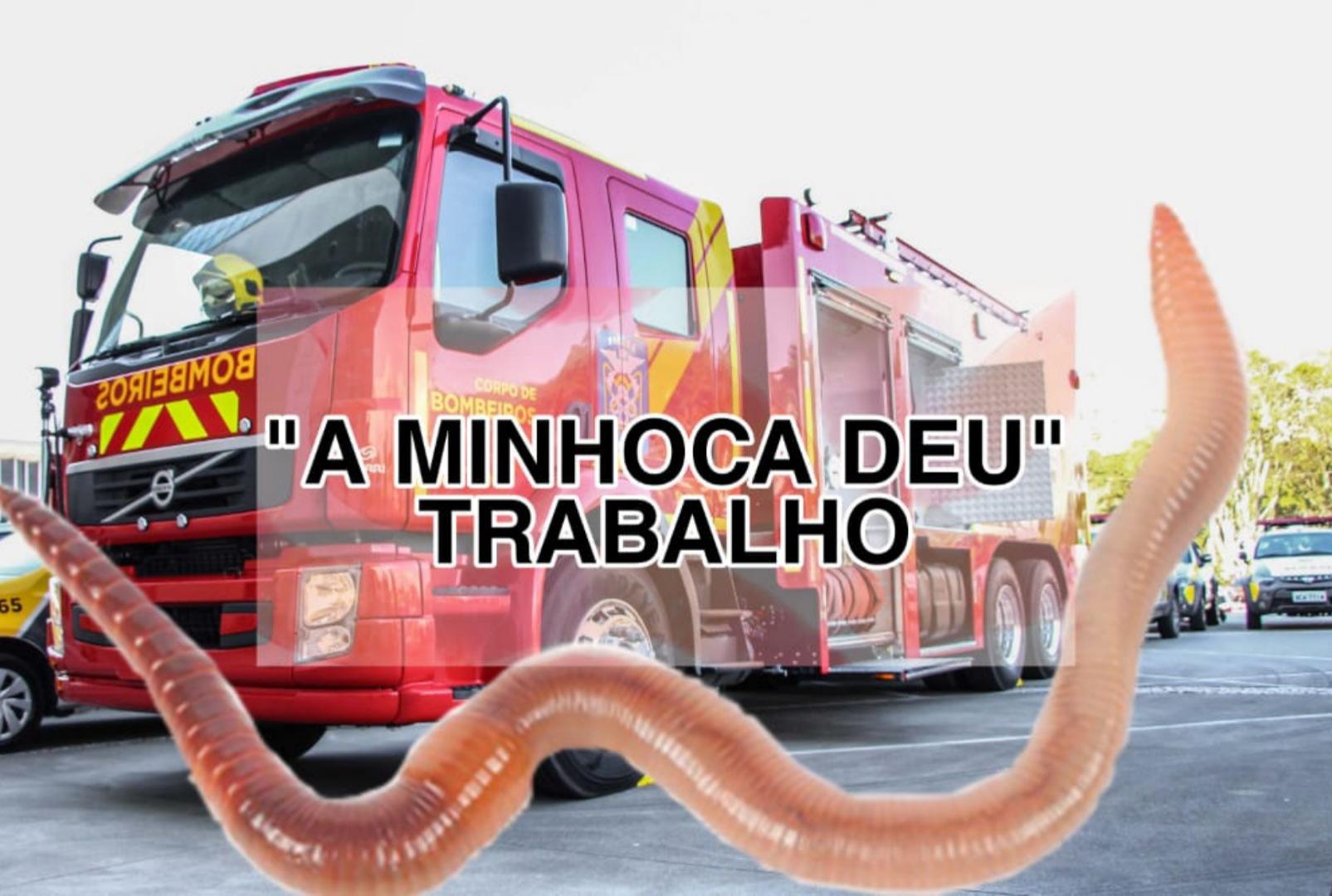 foto de Mulher desesperada ao ver cobra aciona os bombeiros e quando eles chegam se deparam com uma minhoca no Paraná