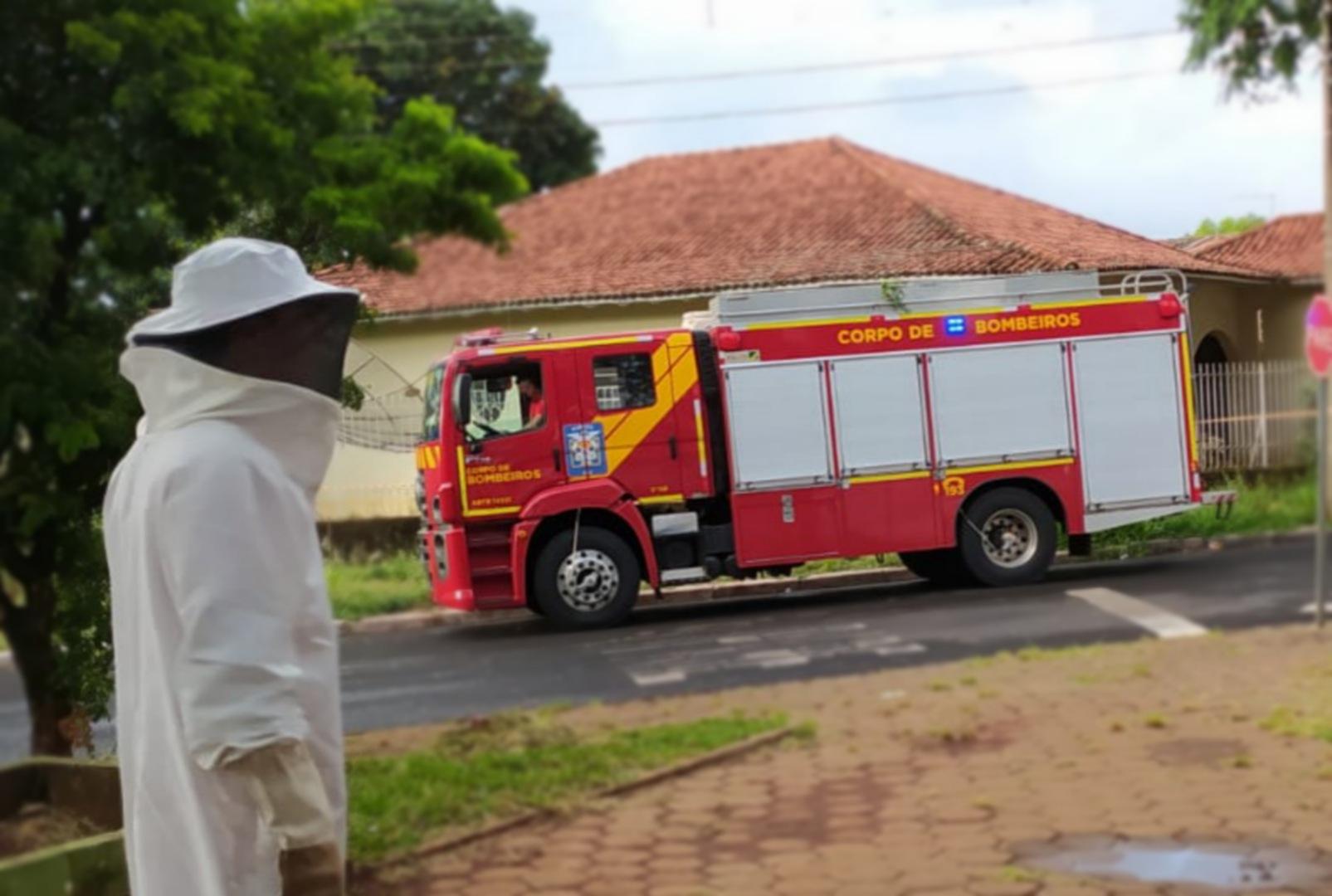 foto de Homem é atacado por abelhas no próprio imóvel em Maringá