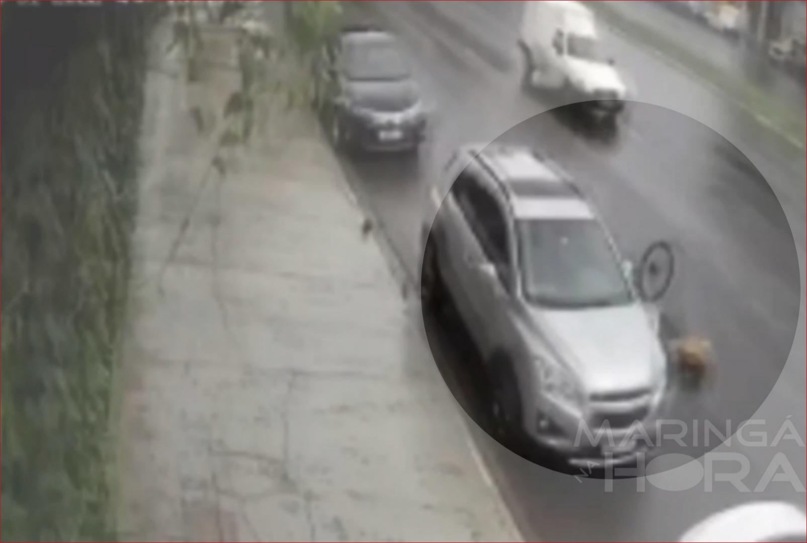 foto de Veja momento em que ciclista bate com violência na traseira de carro estacionado em Maringá