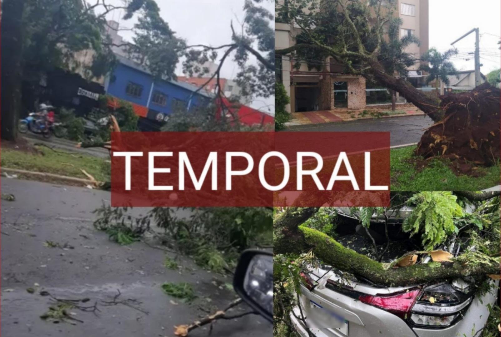 foto de Temporal causa estragos em Maringá e região