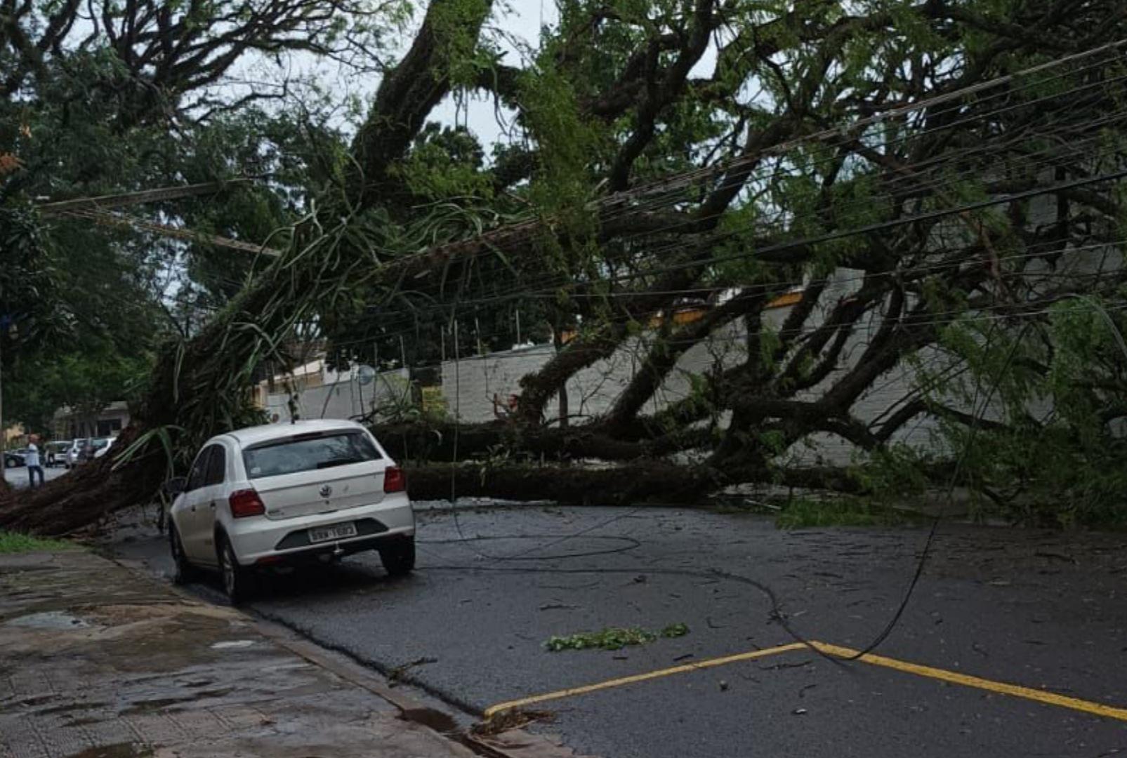 foto de Temporal em Maringá causa estragos