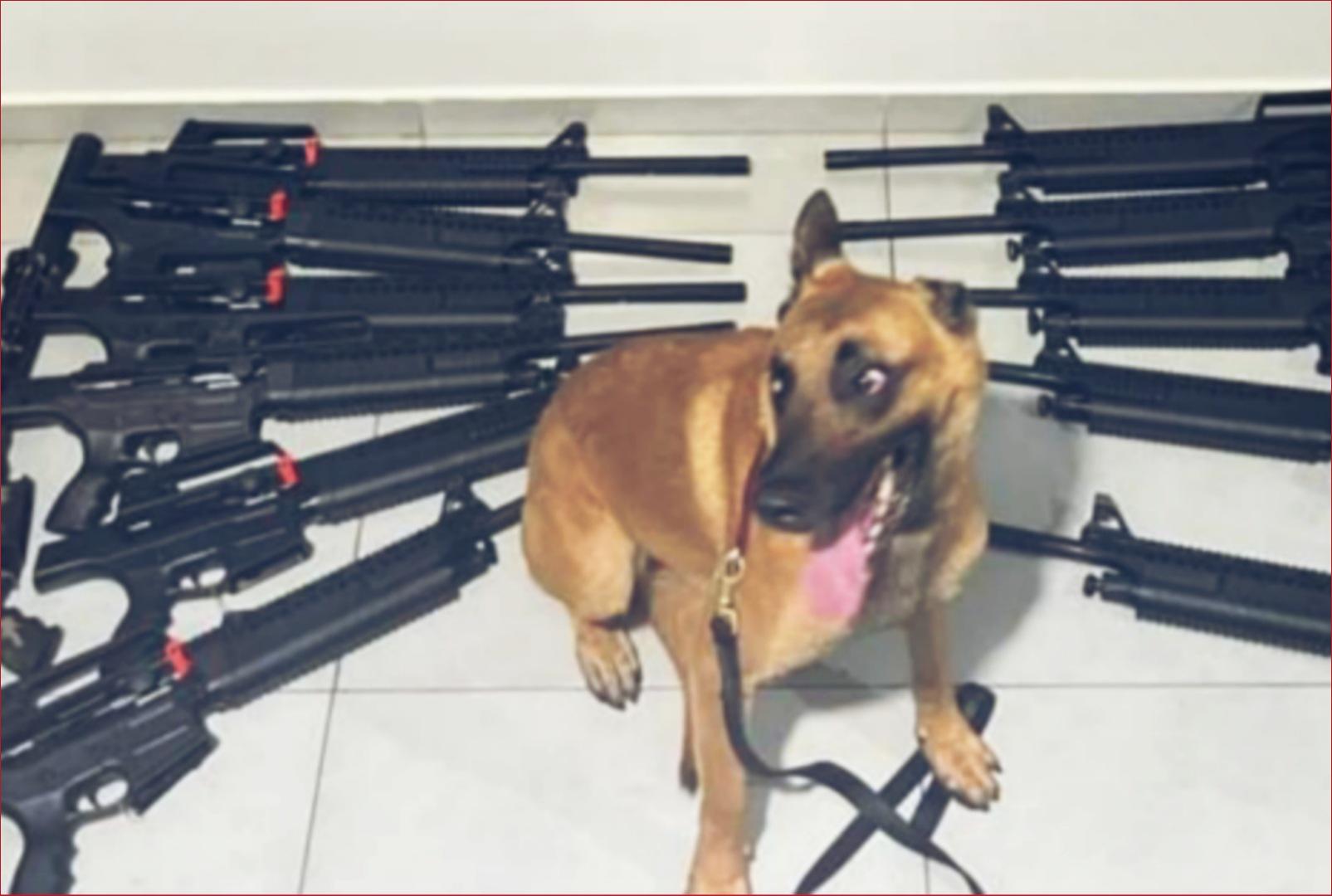 foto de Polícia apreende dezenas de armas no Noroeste do Paraná