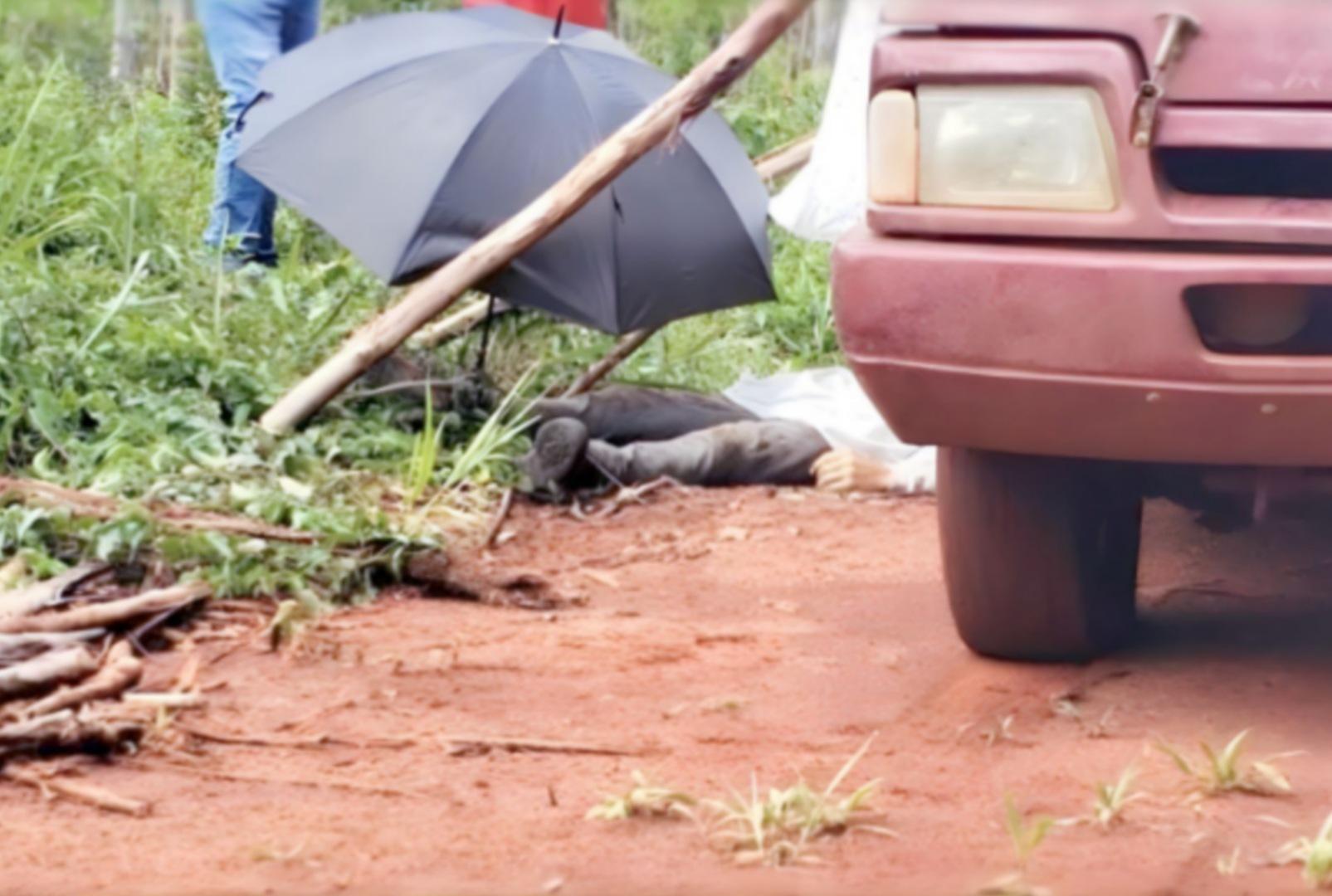 foto de Rapaz morre após ser atingido por tronco de árvore enquanto trabalhava no Paraná