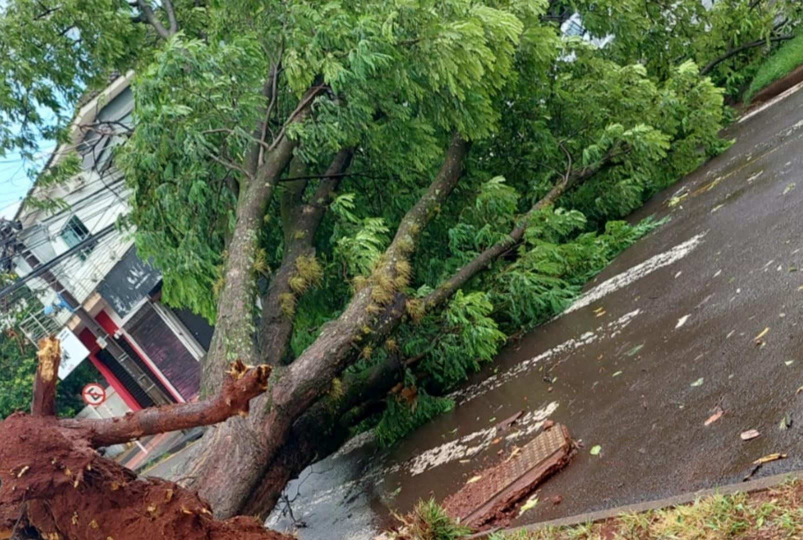 foto de Maringá foi atingida duas vezes por fortes temporais em 24h