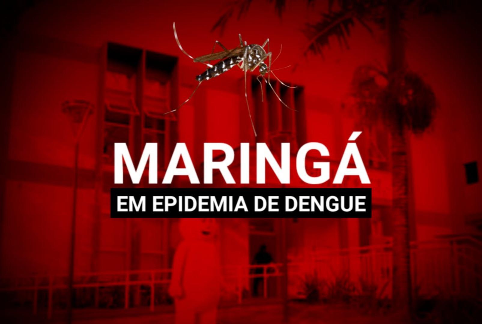 foto de Maringá entra em epidemia de dengue