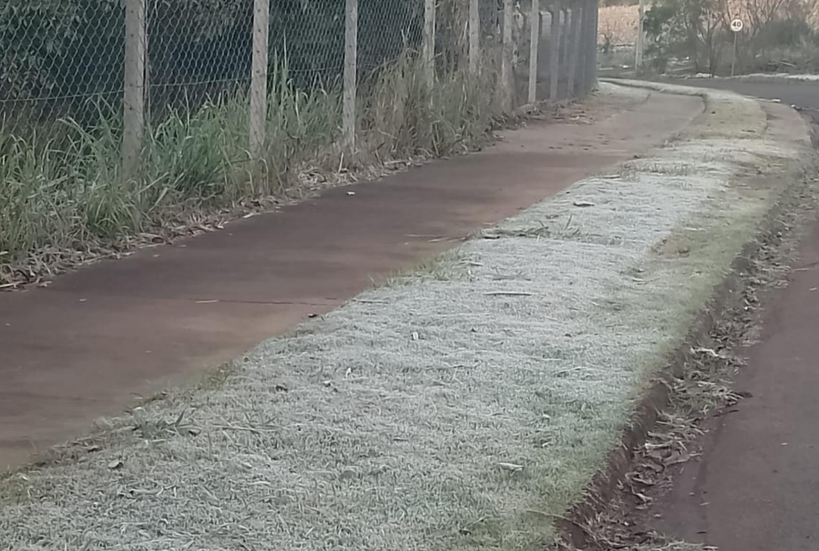 foto de Segunda-feira amanheceu gelada em Maringá com registro de geada em alguns pontos