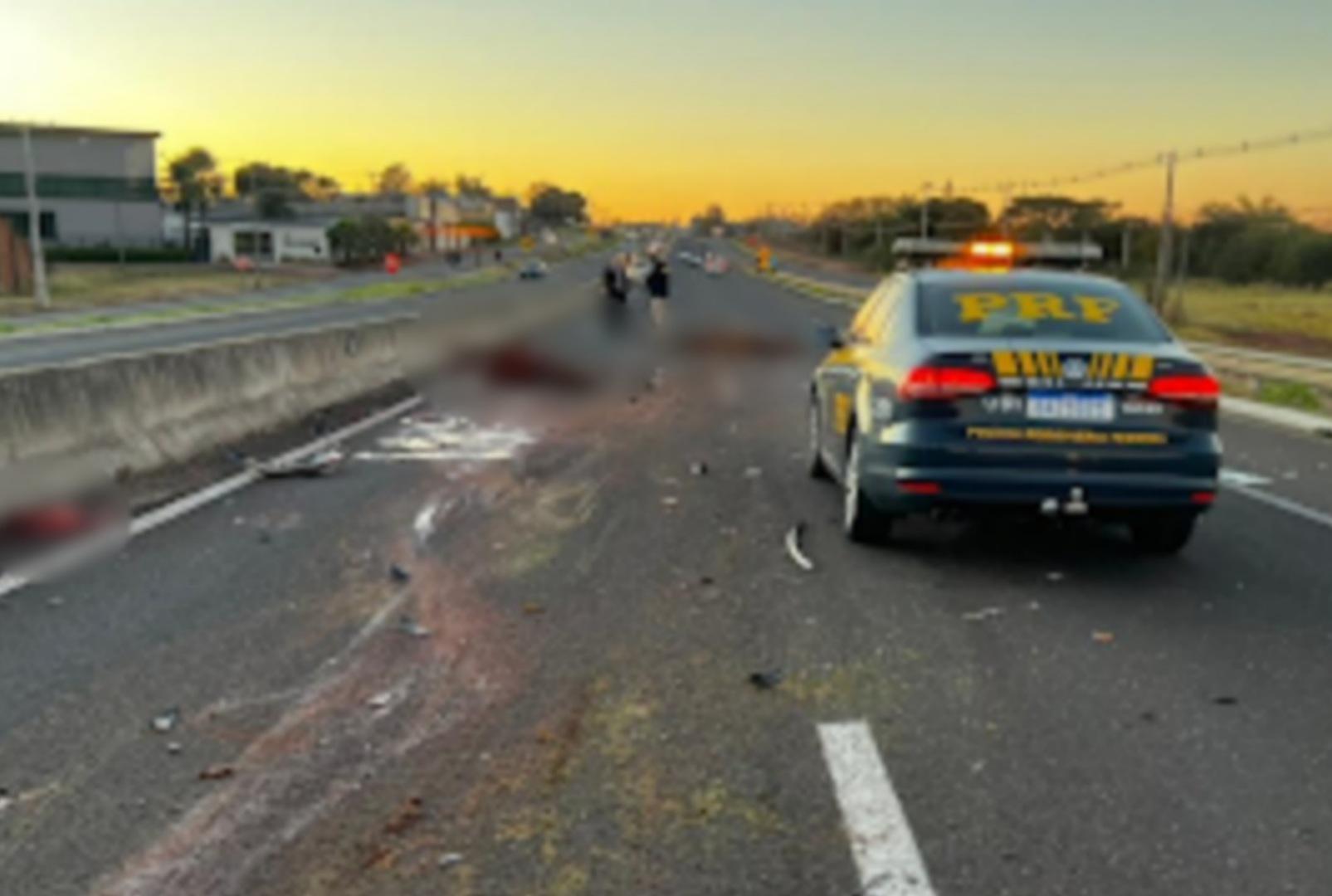 foto de Dois cavalos morrem atropelados na BR-376