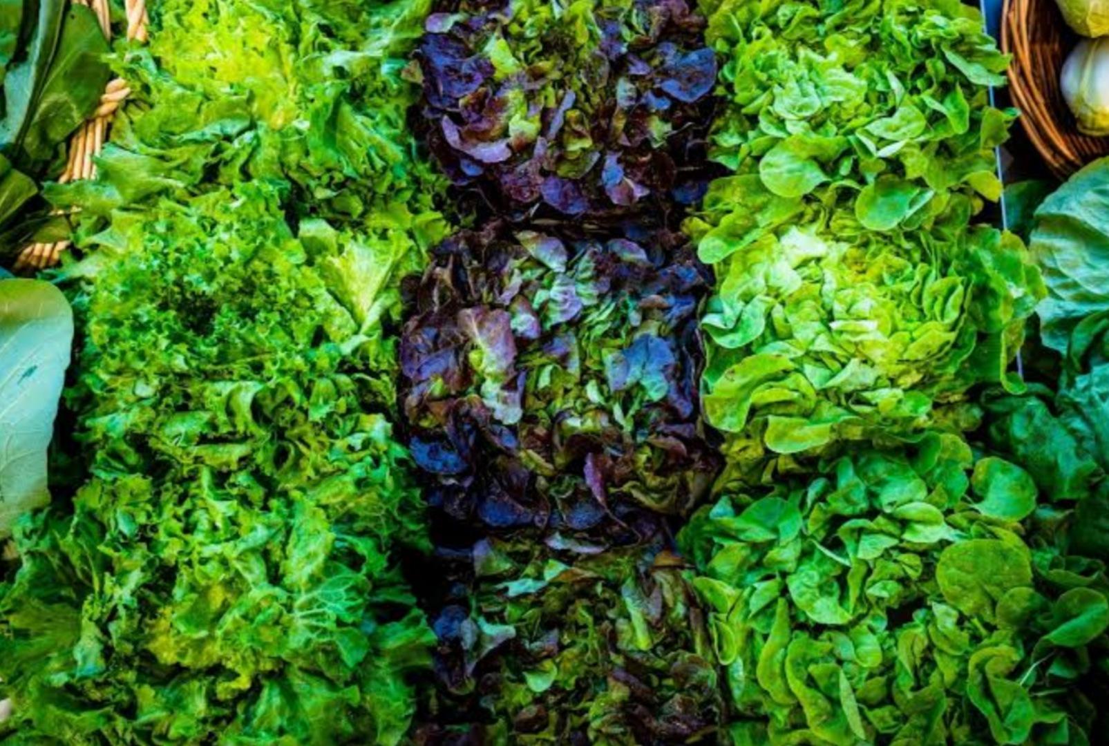 foto de Como conservar folhas na geladeira: você vai ter salada fresquinha a semana toda