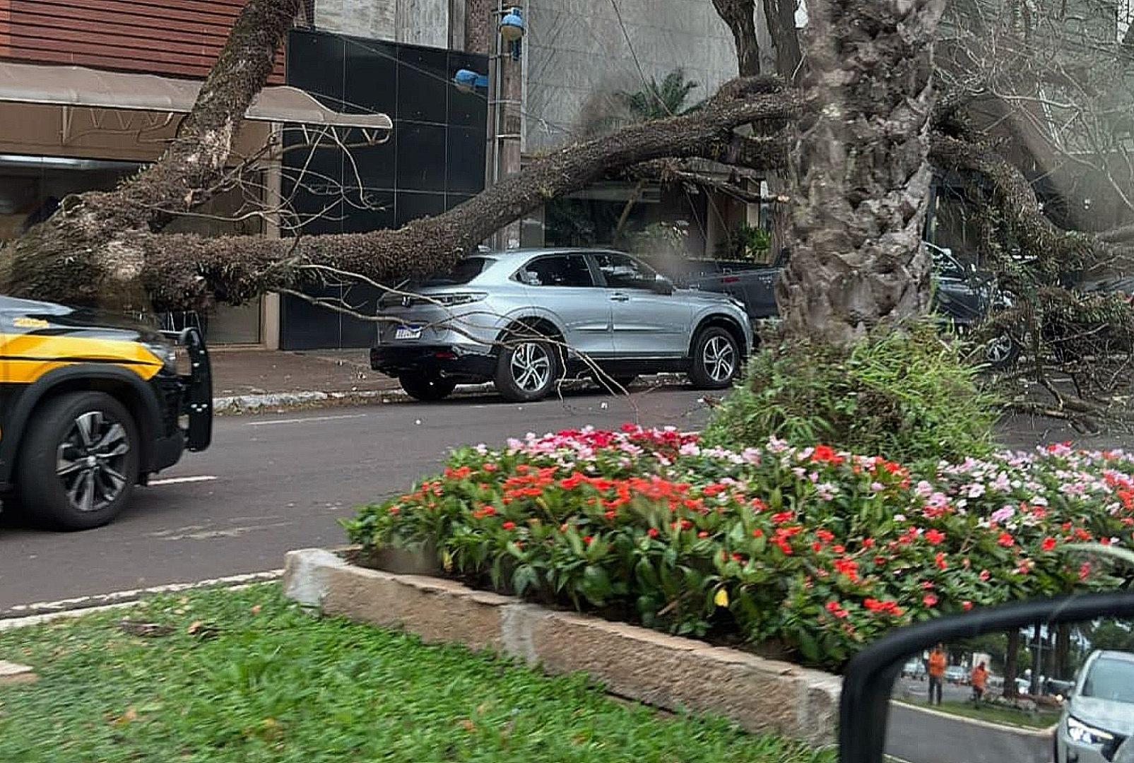 foto de Temporal que atingiu Maringá e região causou grandes estragos