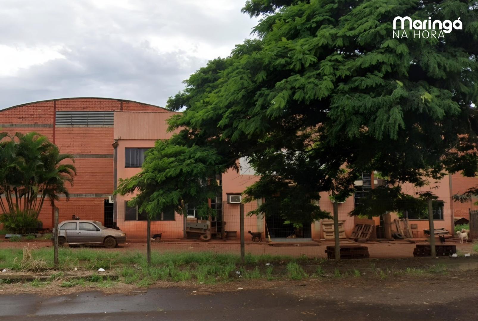 foto de Jovem fica em estado grave após ser atacado por cães em abrigo que acolhe 96 animais no Paraná