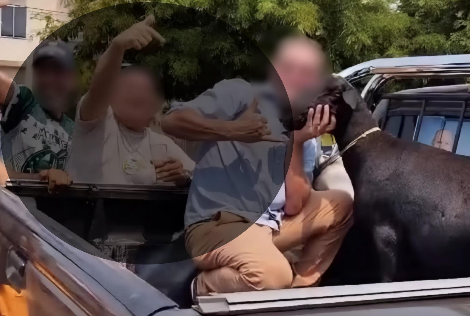 foto de Imagens fortes! Dois homens são denunciados por matar bode em briga política no Paraná