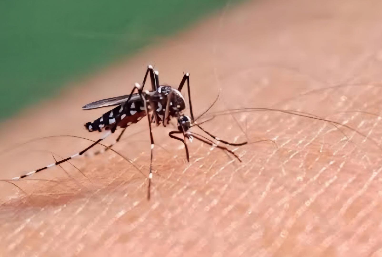 foto de Menina de 15 anos morre de dengue no Paraná