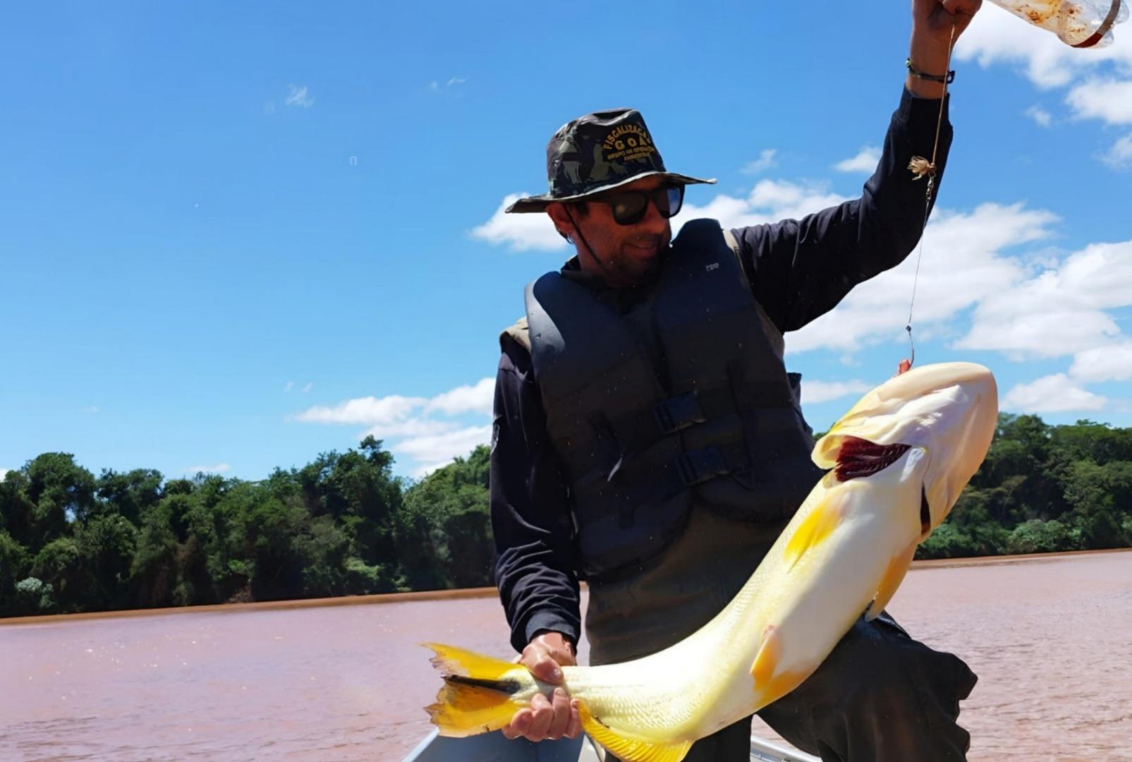 foto de Piracema: proibição de pesca predatória na Bacia do Rio Paraná começa na sexta-feira