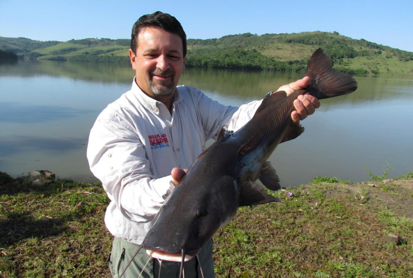 Novo ciclo do Rio Vivo vai soltar 2,6 milhões de peixes nativos nas bacias do Paraná