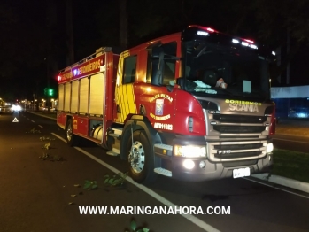 foto de Acidente deixa três feridos e carro destruído no centro de Maringá