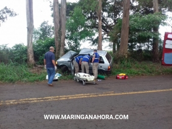 foto de Motorista é socorrido inconsciente após bater em árvore na rodovia entre Santa Fé e Guaraci