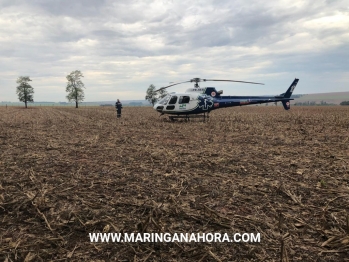 foto de Motorista é socorrido inconsciente após bater em árvore na rodovia entre Santa Fé e Guaraci