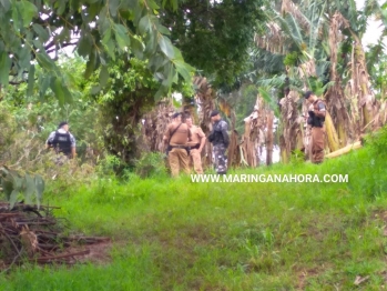 foto de Quatro assaltantes morrem em troca de tiros com PM após tentativa de roubo em Munhoz de Melo