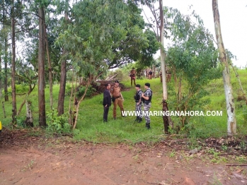 foto de Quatro assaltantes morrem em troca de tiros com PM após tentativa de roubo em Munhoz de Melo