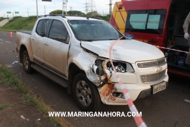 foto de Motorista com sinais de embriaguez, atropela e mata empresário em Maringá