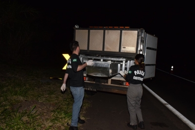 foto de Carro com placas de Maringá, bate e motorista morre carbonizado na rodovia PR-444 em Mandaguari