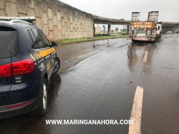 foto de Motociclista morre após cair embaixo de carreta na divisa de Sarandi e Maringá