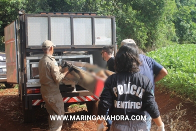 foto de Crime bárbaro na área rural entre Paiçandu Maringá 