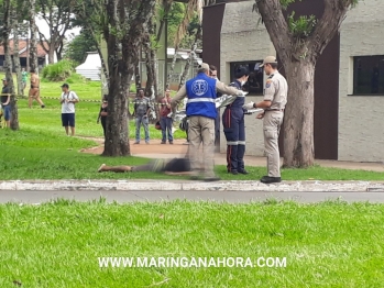 foto de Homem que sobreviveu a 8 tiros em 2016 é executado nesta quinta-feira em Maringá