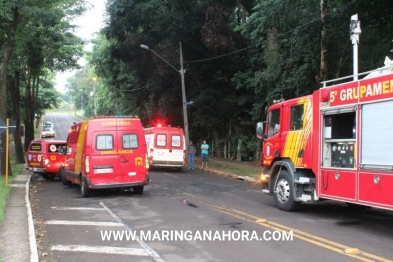 foto de Em Maringá; galho de árvore atravessa carro em acidente, e três pessoas são resgatadas sem ferimentos graves