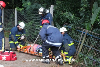 foto de Em Maringá; galho de árvore atravessa carro em acidente, e três pessoas são resgatadas sem ferimentos graves