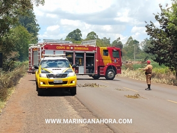 foto de Incêndio ambiental as margens da rodovia, provoca acidente entre Paiçandu e Água Boa