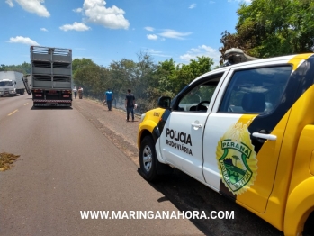 foto de Incêndio ambiental as margens da rodovia, provoca acidente entre Paiçandu e Água Boa