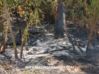 foto de Incêndio ambiental as margens da rodovia, provoca acidente entre Paiçandu e Água Boa