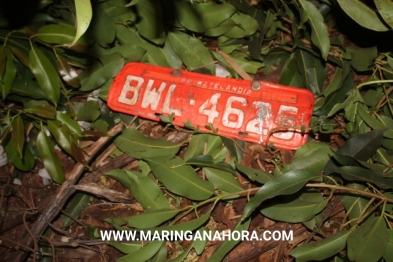 foto de Motorista de 80 anos morre esmagado pelo próprio caminhão na PR-323 em DR Camargo